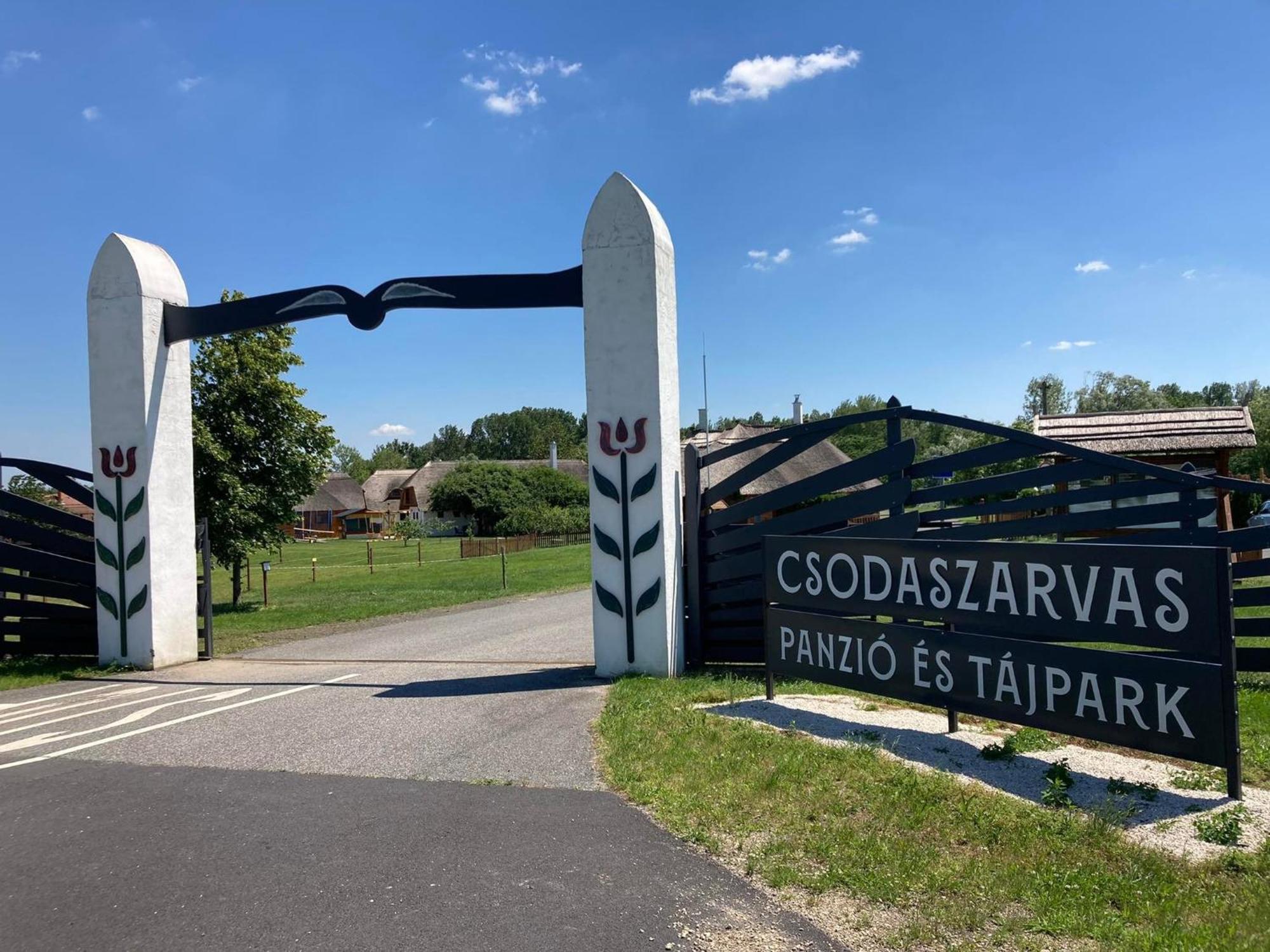 Csodaszarvas Vendeghazak Rabahidveg Εξωτερικό φωτογραφία